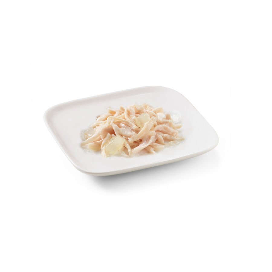 150 g Schesir Puppy Frango com Alo&eacute; lata para c&atilde;es, , large Imagem n&uacute;mero 2